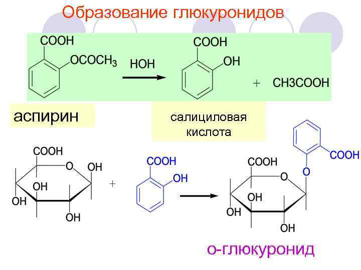 Образование глюкуронидов аспирин салициловая кислота о-глюкуронид 