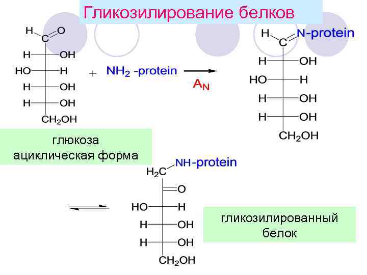 Гликозилирование белков глюкоза ациклическая форма гликозилированный белок 