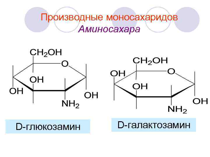 Производные моносахаридов Аминосахара D-глюкозамин D-галактозамин 