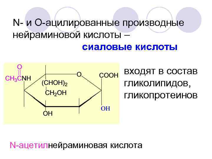 N- и O-ацилированные производные нейраминовой кислоты – сиаловые кислоты входят в состав гликолипидов, гликопротеинов