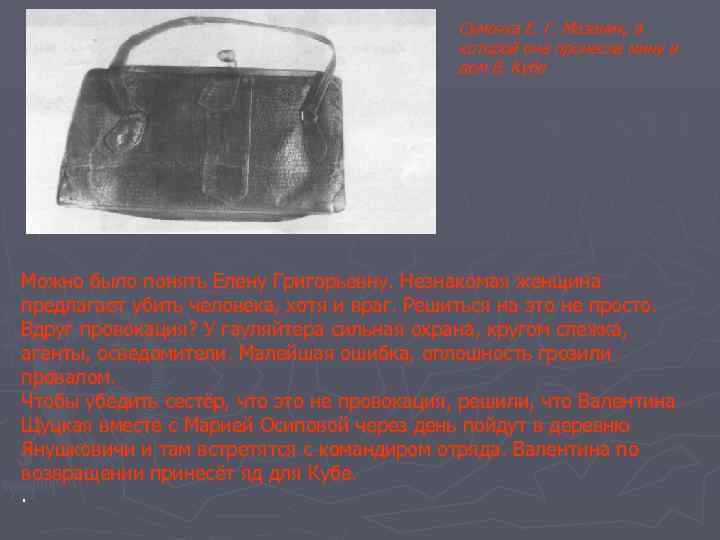 Сумочка Е. Г. Мазаник, в которой она пронесла мину в дом В. Кубе Можно