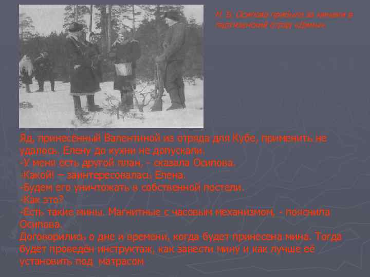 Н. Б. Осипова прибыла за минами в партизанский отряд «Димы» . Яд, принесённый Валентиной