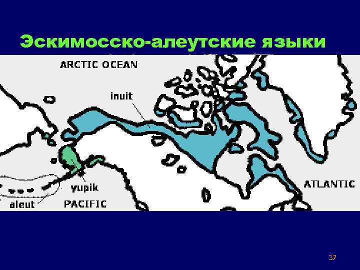 Эскимосско-алеутские языки 37 