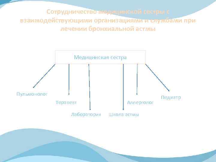 Сотрудничество медицинской сестры с взаимодействующими организациями и службами при лечении бронхиальной астмы Медицинская сестра
