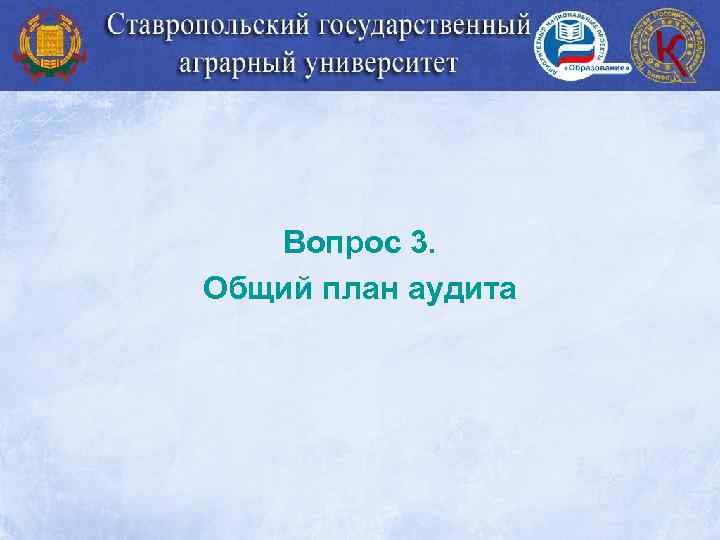 Вопрос 3. Общий план аудита 
