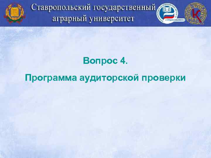Вопрос 4. Программа аудиторской проверки 
