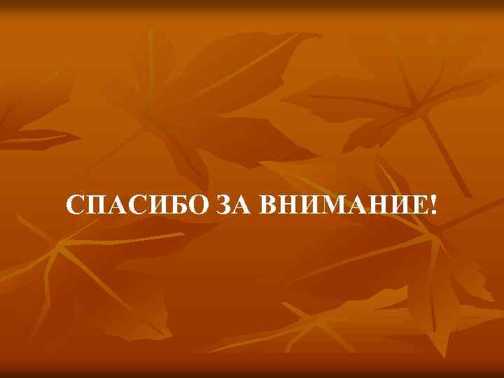 СПАСИБО ЗА ВНИМАНИЕ! 