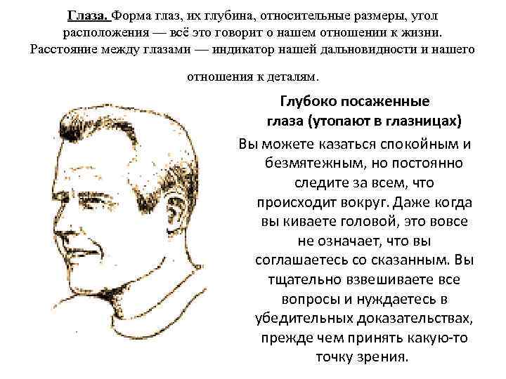 Глаза. Форма глаз, их глубина, относительные размеры, угол расположения — всё это говорит о