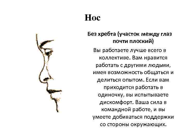 Нос Без хребта (участок между глаз почти плоский) Вы работаете лучше всего в коллективе.