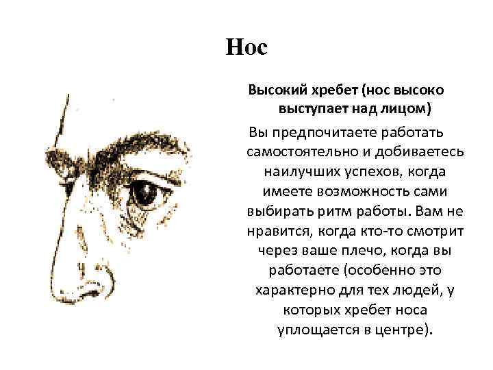 Нос Высокий хребет (нос высоко выступает над лицом) Вы предпочитаете работать самостоятельно и добиваетесь