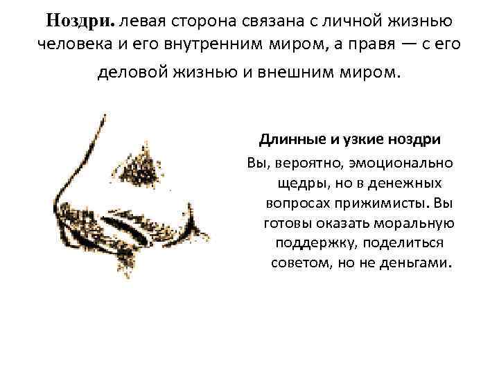 Ноздри. левая сторона связана с личной жизнью человека и его внутренним миром, а правя