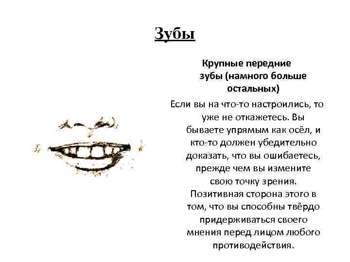 Зубы Крупные передние зубы (намного больше остальных) Если вы на что-то настроились, то уже