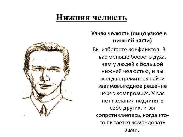 Нижняя челюсть Узкая челюсть (лицо узкое в нижней части) Вы избегаете конфликтов. В вас
