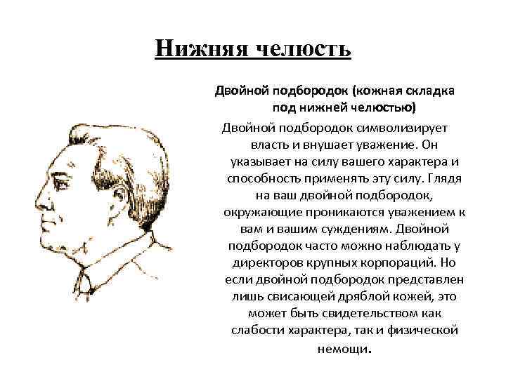 Нижняя челюсть Двойной подбородок (кожная складка под нижней челюстью) Двойной подбородок символизирует власть и