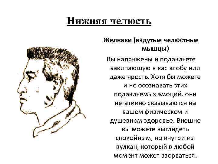 Нижняя челюсть Желваки (вздутые челюстные мышцы) Вы напряжены и подавляете закипающую в вас злобу