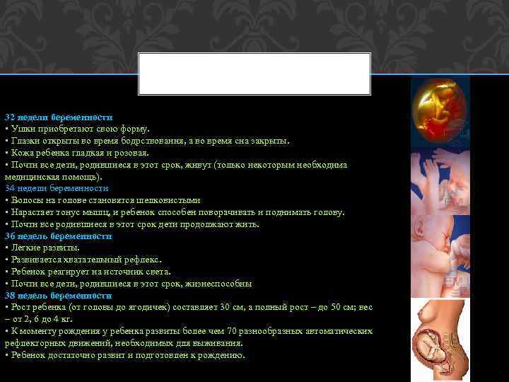 32 недели беременности • Ушки приобретают свою форму. • Глазки открыты во время бодрствования,