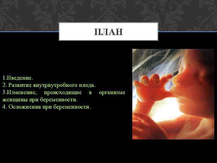 ПЛАН 1. Введение. 2. Развитие внутриутробного плода. 3. Изменение, происходящие в организме женщины при