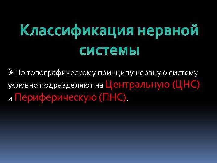 Классификация нервной системы ØПо топографическому принципу нервную систему условно подразделяют на Центральную (ЦНС) и