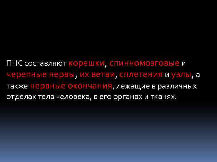 ПНС составляют корешки, спинномозговые и черепные нервы, их ветви, сплетения и узлы, а также