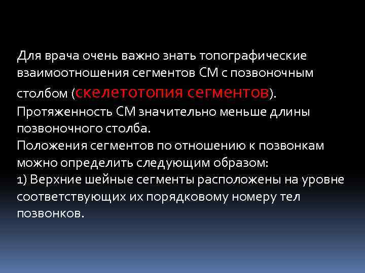 Для врача очень важно знать топографические взаимоотношения сегментов СМ с позвоночным столбом (скелетотопия сегментов).