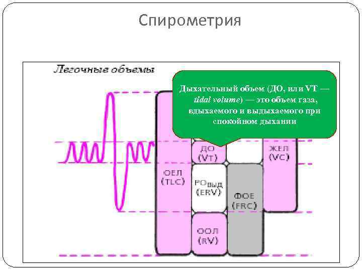 Спирометрия Дыхательный объем (ДО, или VT — tidal volume) — это объем газа, вдыхаемого