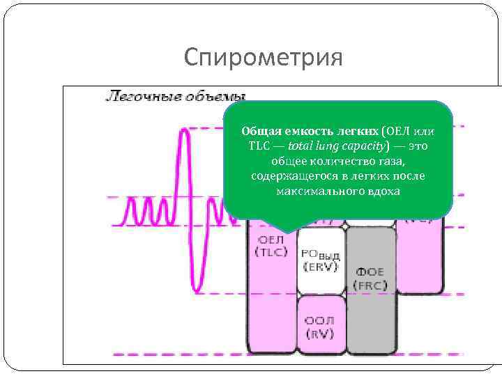 Спирометрия Общая емкость легких (ОЕЛ или TLC — total lung capacity) — это общее