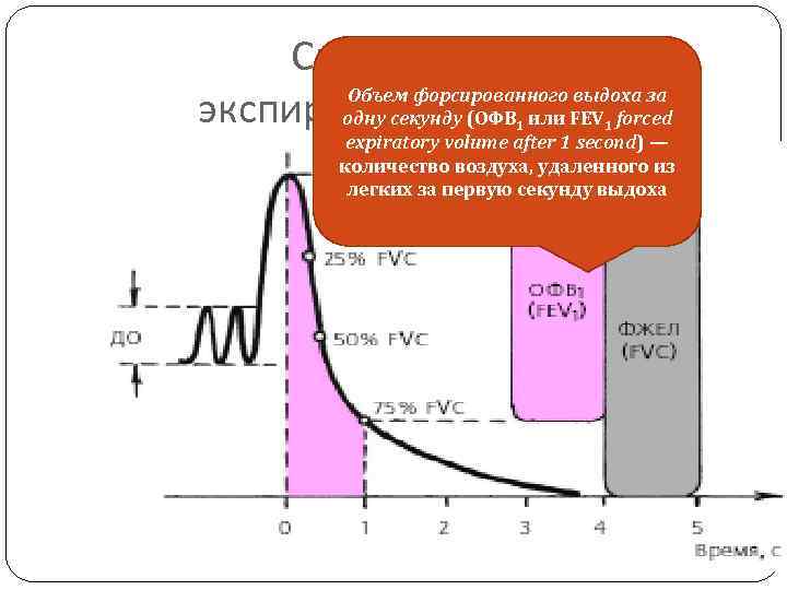 Спирометрия Объем форсированного выдоха за экспираторный маневр одну секунду (ОФВ или FEV forced 1