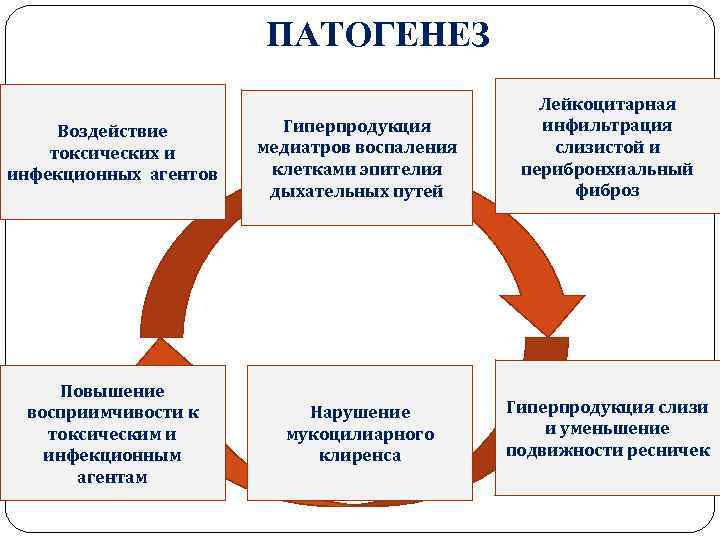 ПАТОГЕНЕЗ Воздействие токсических и инфекционных агентов Повышение восприимчивости к токсическим и инфекционным агентам Гиперпродукция