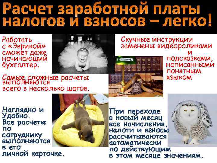 Работать с «Эврикой» сможет даже начинающий бухгалтер. Самые сложные расчеты выполняются всего в несколько