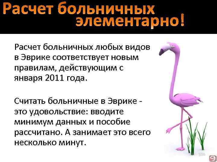 Расчет больничных любых видов в Эврике соответствует новым правилам, действующим с января 2011 года.