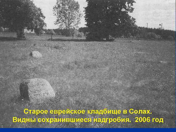 Старое еврейское кладбище в Солах. Видны сохранившиеся надгробия. 2006 год 