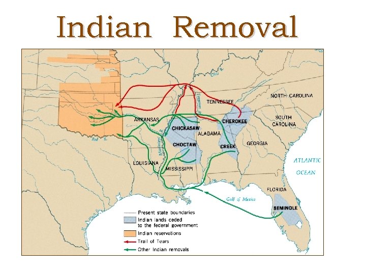 Indian Removal 
