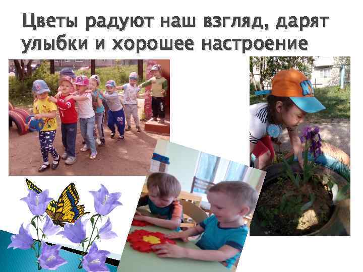 Цветы радуют наш взгляд, дарят улыбки и хорошее настроение 