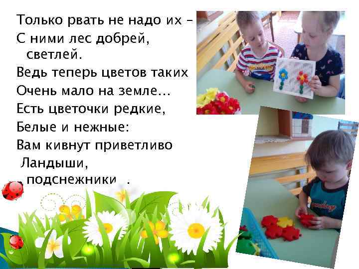 Только рвать не надо их – С ними лес добрей, светлей. Ведь теперь цветов