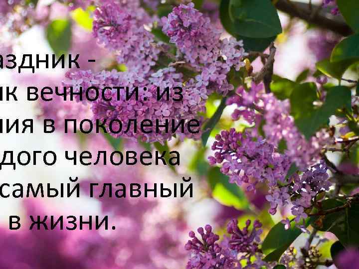 аздник ик вечности: из ния в поколение дого человека самый главный к в жизни.