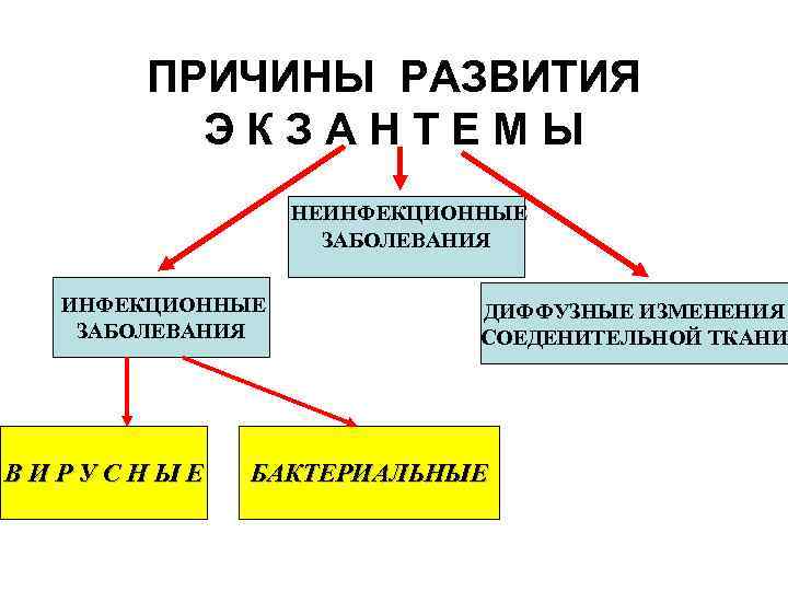 ПРИЧИНЫ РАЗВИТИЯ ЭКЗАНТЕМЫ НЕИНФЕКЦИОННЫЕ ЗАБОЛЕВАНИЯ ВИРУСНЫЕ ДИФФУЗНЫЕ ИЗМЕНЕНИЯ СОЕДЕНИТЕЛЬНОЙ ТКАНИ БАКТЕРИАЛЬНЫЕ 