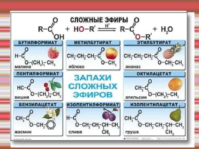 Сложные эфиры и их запахи 