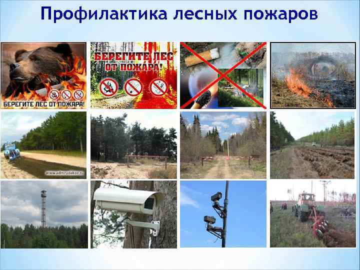 Профилактика лесных пожаров 