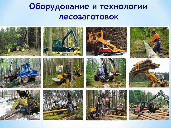 Оборудование и технологии лесозаготовок 