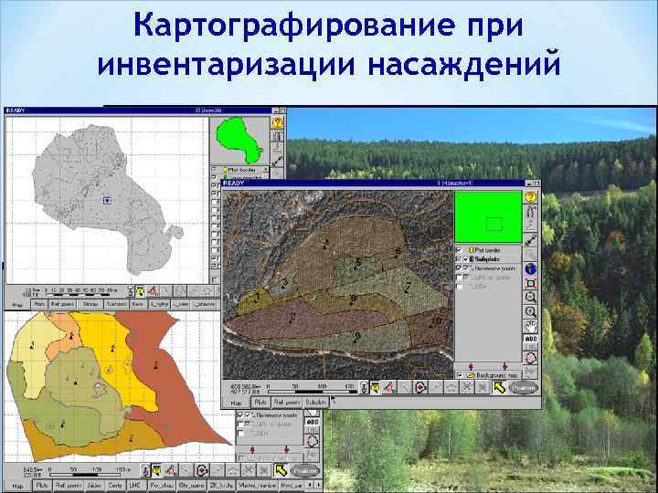 Картографирование при инвентаризации насаждений 