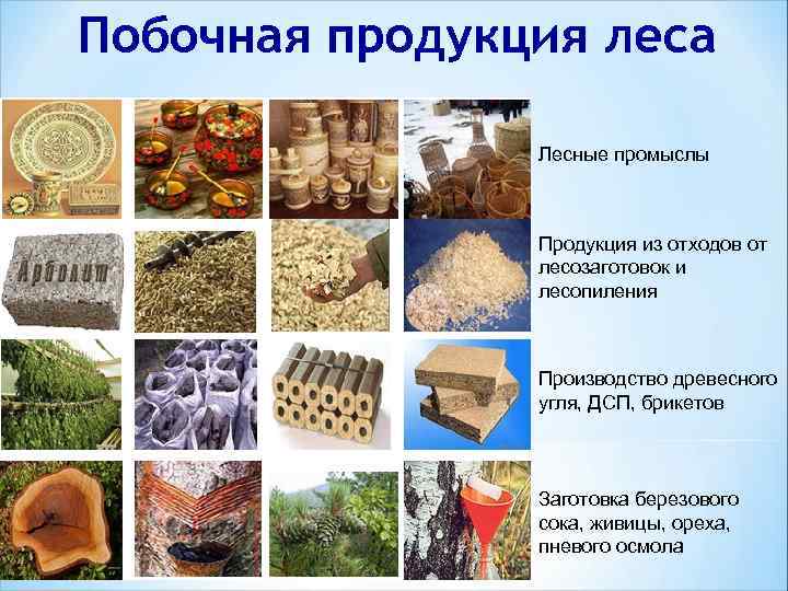 Побочная продукция леса Лесные промыслы Продукция из отходов от лесозаготовок и лесопиления Производство древесного