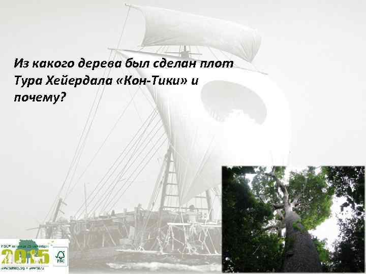 Из какого дерева был сделан плот Тура Хейердала «Кон-Тики» и почему? 