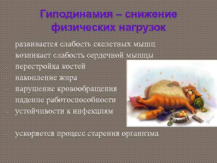 Гиподинамия – снижение физических нагрузок - развивается слабость скелетных мышц возникает слабость сердечной мышцы