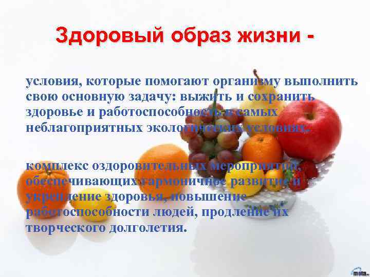 Здоровый образ жизни условия, которые помогают организму выполнить свою основную задачу: выжить и сохранить