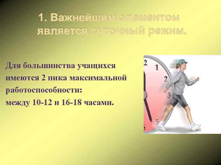 1. Важнейшим элементом является суточный режим. Для большинства учащихся имеются 2 пика максимальной работоспособности: