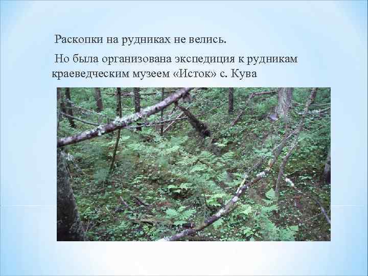 Раскопки на рудниках не велись. Но была организована экспедиция к рудникам краеведческим музеем «Исток»