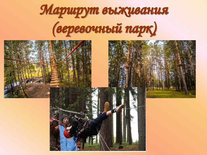 Маршрут выживания (веревочный парк) 