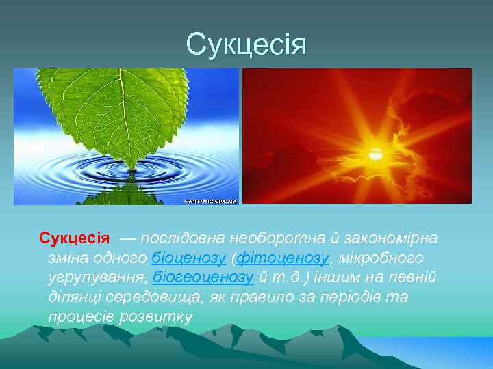 Сукцесія — послідовна необоротна й закономірна зміна одного біоценозу (фітоценозу, мікробного угрупування, біогеоценозу й
