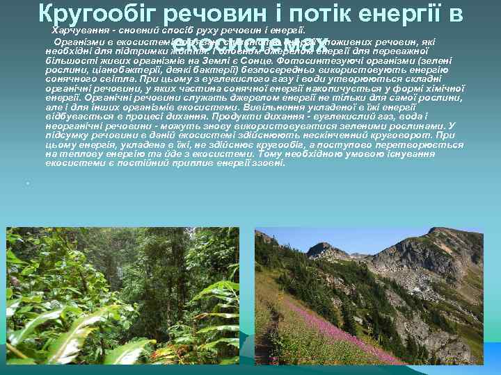 Кругообіг речовин і потік енергії в екосистемах Харчування - сновний спосіб руху речовин і