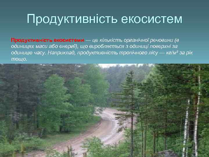Продуктивність екосистеми — це кількість органічної речовини (в одиницях маси або енергії), що виробляється
